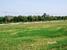 tn 6 Land on Palm Hills Premier Golf Course
