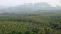 tn 3 26 rai mountain view land for sale 