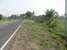 tn 1 Land for sale in Sanpatong  