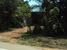 tn 1 THAI HOUSE 3 RAI LNAD