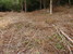 tn 4 Land in Lamai koh Samui for sale