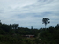 tn 6 Land in Lamai koh Samui for sale