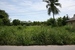 tn 3 For Sale: Land 1 rai 3 yang in Huay yai