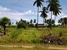 tn 3 For Sale: Land at Huay yai 4 rai