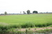 tn 4 Land for Sale in beautiful's Thailand.