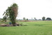 tn 5 Land for Sale in beautiful's Thailand.