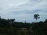 tn 1 Land with sea view for sale in Lamai 