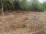 tn 3 Land with sea view for sale in Lamai 