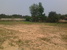 tn 4 4.59 Rai