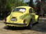 tn 3 vw beetle