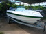 tn 3 17 foot 115 HP fiberglass motorboat