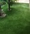 tn 3 Magic Carpet Artificial Turf