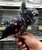 tn 3 African Grey,Hyacinths Macaw for sale