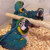 tn 2 hyacinth Macaw,Africa Grey,Blue&Gold 