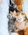 tn 2 Full TICA Pedigree Maine Coon kittens