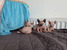 tn 1 Lovely Sphynx Kittens available  for sal