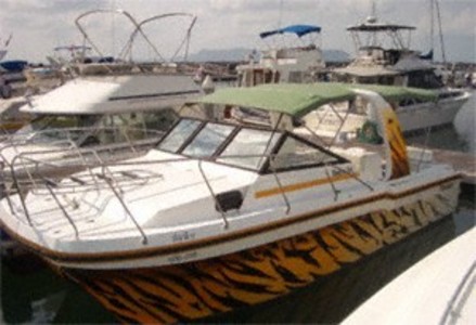 pic Cougar Cat VV 2600