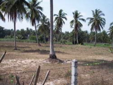 pic 4 rai of land in Hua Yai area