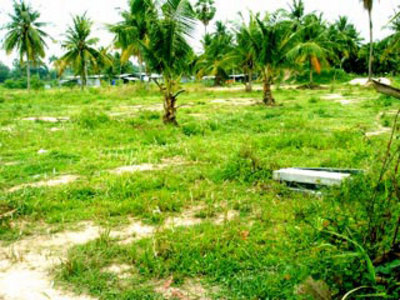 pic Large  Soi Chaiyapruk  Land  Allotment