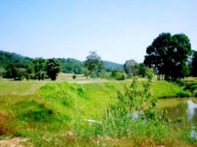 pic Golfers  Land  Near  Lake
