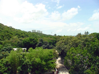 pic Condominium In Pratumnak