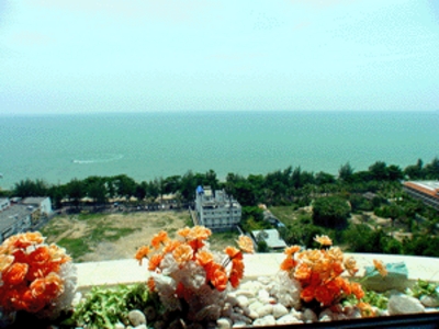 pic Condominium In  Jomtien Beach Area