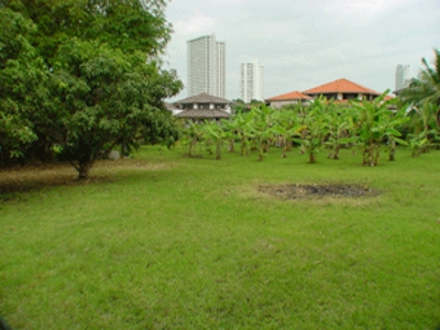 pic 2Rai of Prime Land Ready for Development