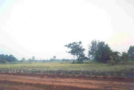 pic Nice land and ready for development