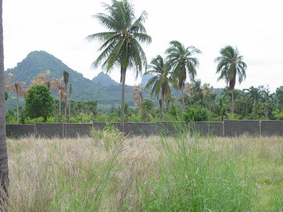 pic 2 Rai and 500 sqm. - Bangsaray Land