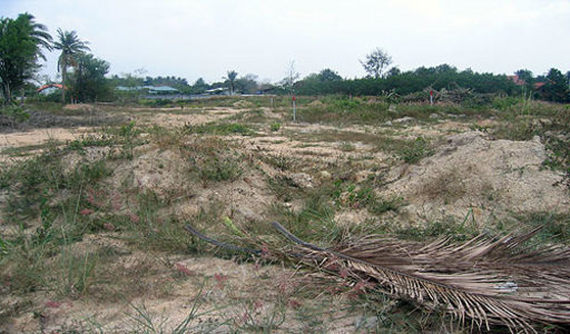 pic  Soi Nongprue (1 Rai) 8 plots available.