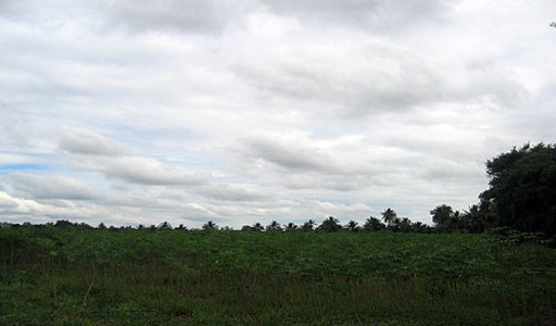 pic Huay Yai (3 Km from the Temple)