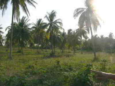 pic Na Jomtien country side, Beautiful land 