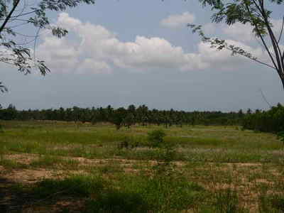 pic Na Jomtien country side, clear land