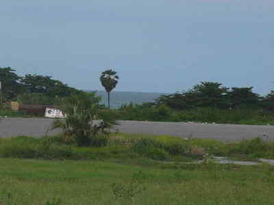pic Great sea views from the frist floor