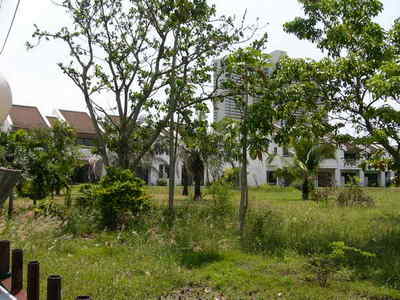 pic Landscaped plot with empty bungalows