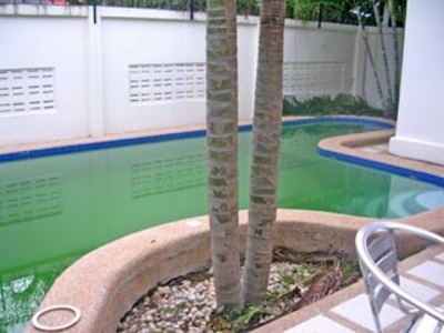 pic House With Pool For Rent