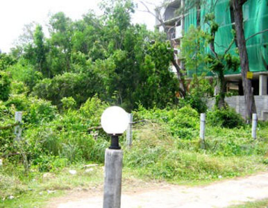 pic Beachfront Land, (Over 2 Rai)