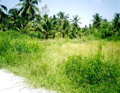 pic Near Takentia School, Takientia
