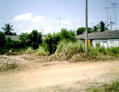 pic Land Located at K-line Road, Takientia