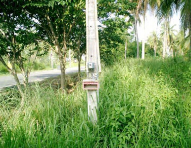 pic Yairk K-line, Rong Po Land for sale 