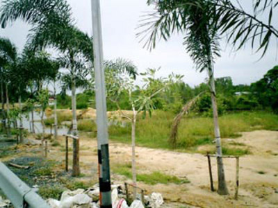 pic Good location for land developer