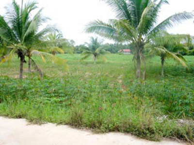 pic Land Bargain South Of Pattaya