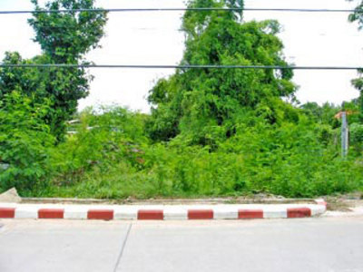 pic 2-Rai East Pattaya Land