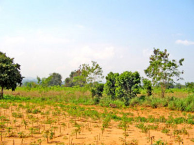 pic Rural  Land  For Development