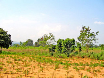 pic Rural Land For Development