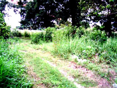 pic North Pattaya Development Land