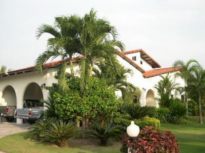 pic Situated on 2 rai of land