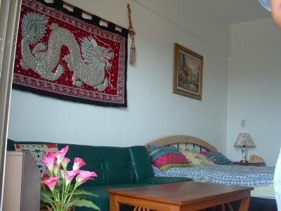 pic A nice and airy studio apartment 