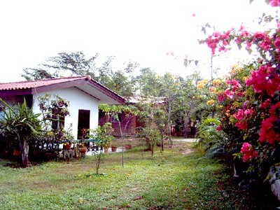 pic Fruit Garden House