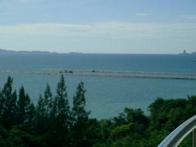 pic Great Oceanfront Condo